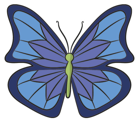 Illustration of butterfly