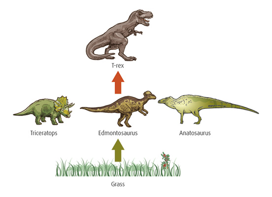 Illustration of dinosaur food chain