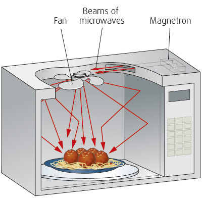 Illustration of microwave cutaway