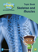 Thumbnail for Science bug international skeleton and muscles