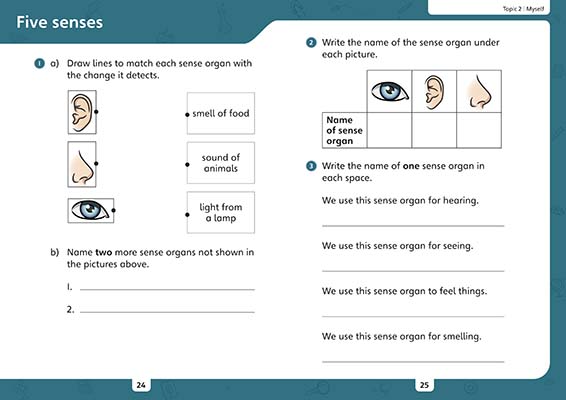 Gallery image for iPrimary Science Year 1 Workbook spread