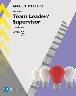 Gallery image for Team Leader Level 3 cover