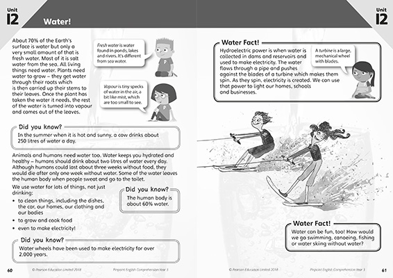 Gallery image for Pinpoint comprehension year 3 spread