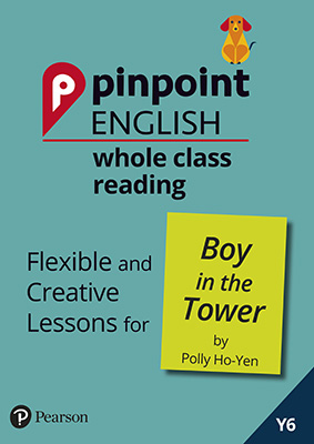 Gallery image for Pinpoint English WCR The boy in the tower cover