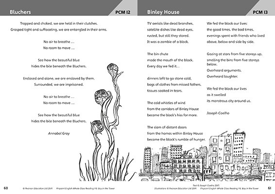 Gallery image for Pinpoint English WCR The boy in the tower spread